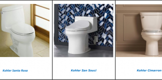 How to use a Kohler toilet, which Kohler toilet suits you, models Kohler San Souci, Kohler Santa Rosa, Kohler Cimarron