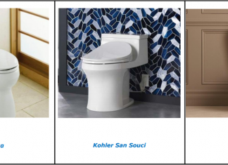 How to use a Kohler toilet, which Kohler toilet suits you, models Kohler San Souci, Kohler Santa Rosa, Kohler Cimarron