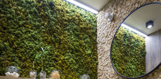 What are the best ideas for fancy toilet renovation, 9 ideas for fancy toilet renovation