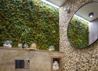 What are the best ideas for fancy toilet renovation, 9 ideas for fancy toilet renovation