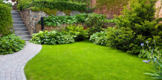 How to prepare your lawn for spring, What are 10 tips to prepare your lawn for spring