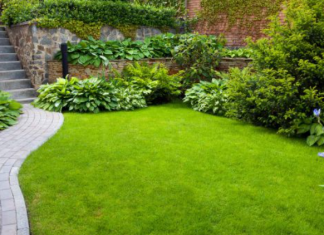 How to prepare your lawn for spring, What are 10 tips to prepare your lawn for spring