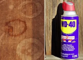 How to use WD-40 for home