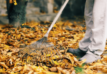 How to make leaf fertilizer