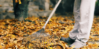 How to make leaf fertilizer