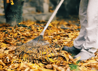 How to make leaf fertilizer