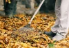 How to make leaf fertilizer
