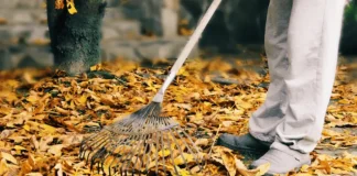 How to make leaf fertilizer